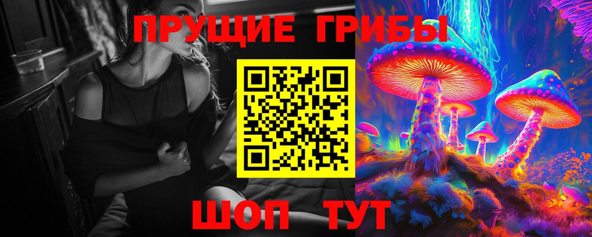 Псилоцибиновые грибы MAGIC MUSHROOMS  Вход с VPN  Псилоцибиновые грибы Cubensis  Сосновый Бор 